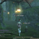 ffxiv_2010_151