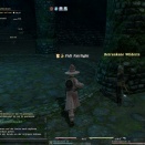 ffxiv_2010_152