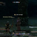 ffxiv_2010_153