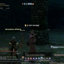 ffxiv_2010_153