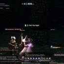 ffxiv_2010_154