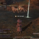 ffxiv_2010_159