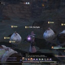 ffxiv_2011_001