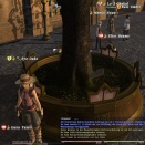 ffxiv_2011_050