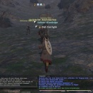 ffxiv_2011_054