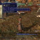 ffxiv_2011_061