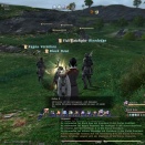 ffxiv_2011_070