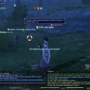 ffxiv_2011_072