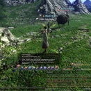 ffxiv_2011_101