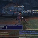 ffxiv_2011_117