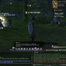 ffxiv_2011_118