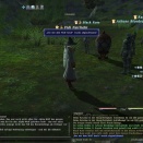 ffxiv_2011_119