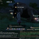 ffxiv_2011_127