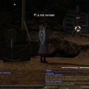 ffxiv_2011_137