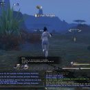 ffxiv_2011_152