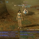 ffxiv_2011_157