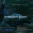 ffxiv_2011_159