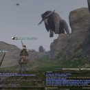 ffxiv_2011_161