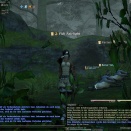 ffxiv_2011_210