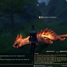 ffxiv_2011_218