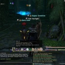 ffxiv_2011_227