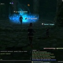 ffxiv_2011_228