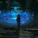 ffxiv_2011_229