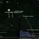 ffxiv_2011_230