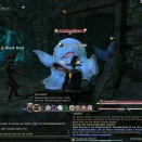 ffxiv_2011_235