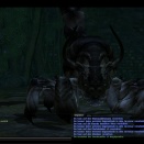 ffxiv_2011_239