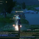 ffxiv_2011_242