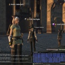 ffxiv_2011_258
