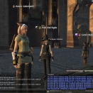 ffxiv_2011_258