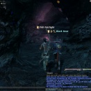 ffxiv_2011_260