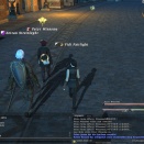 ffxiv_2011_265