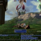 ffxiv_2011_269