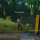 ffxiv_2011_271