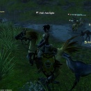 ffxiv_2011_287