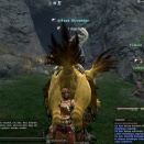 ffxiv_2011_290