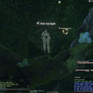 ffxiv_2011_294