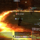 ffxiv_2011_319