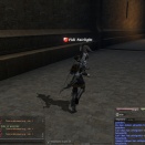 ffxiv_2011_323