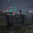 ffxiv_2011_338