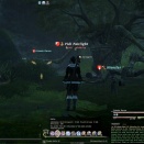 ffxiv_2011_345