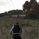 DayZ